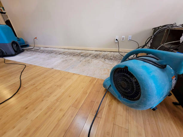 Reliable Basement Flood Cleanup contractor in Hebron, MD by Hirex Water Damage