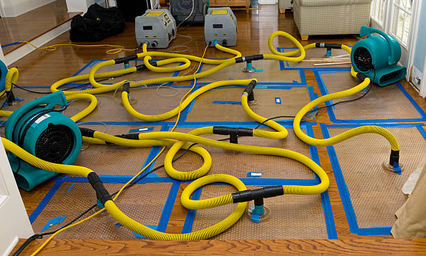 Professional Basement Flood Cleanup technician working in Hebron, MD